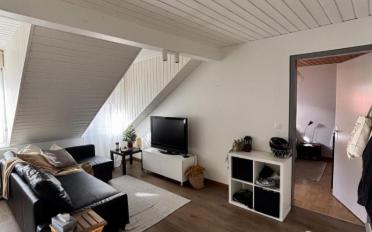 Apartment - image - 1