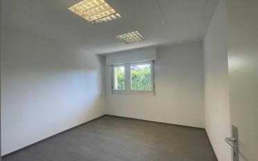 Office - image - 1