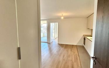 Wohnung 2.5 Zimmer - image - 4