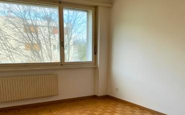 Studio 1.5 Zimmer - image - 2