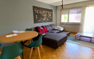 Wohnung 3.5 Zimmer - image - 1