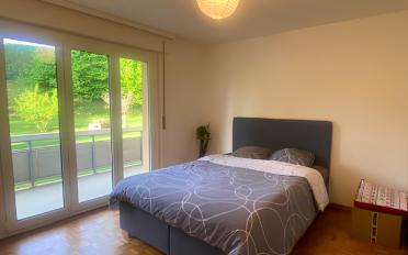 Wohnung 2.5 Zimmer - image - 3