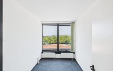 Office - image - 7