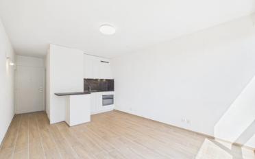 Wohnung ein Zimmer - image - 3