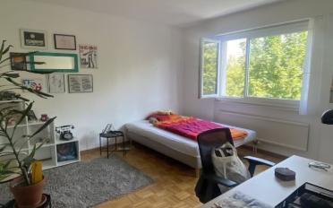 Wohnung ein Zimmer - image - 1
