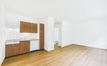 Apartment 1 room - image - 1