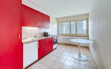 Wohnung 2.5 Zimmer - image - 1