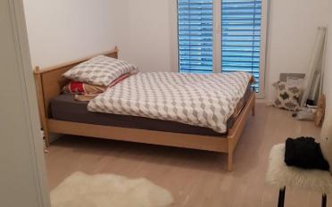 Wohnung 2.5 Zimmer - image - 5