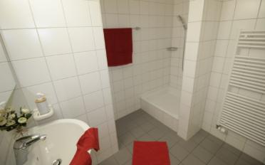 Attic flat 5.5 rooms - image - 10