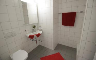 Attic flat 5.5 rooms - image - 1