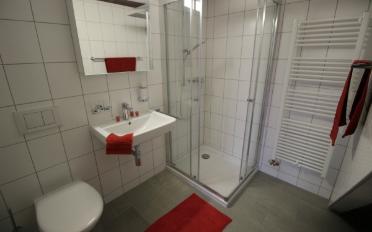 Appartement 2.5 pièces - image - 12