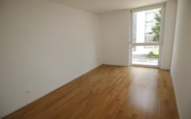 Loft 2.5 Zimmer - image - 5