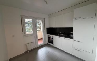 Wohnung 2 Zimmer - image - 3