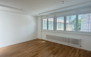 Wohnung 2.5 Zimmer - image - 1