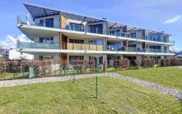 Wohnung 2.5 Zimmer - image - 1