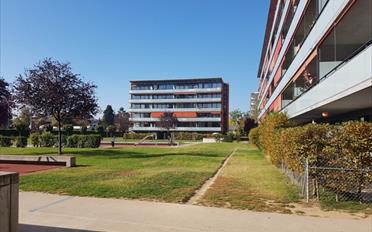 Place couverte - image - 1