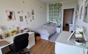 Single room 1 room - image - 5