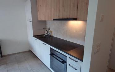 Furnished flat 1 room - image - 4