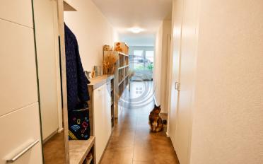 Apartment 3.5 rooms - image - 12