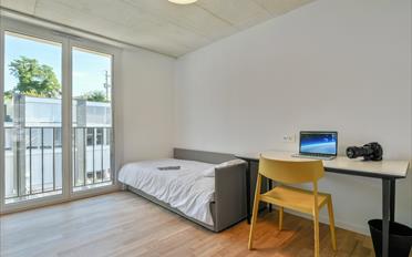 Single room 1 room - image - 2