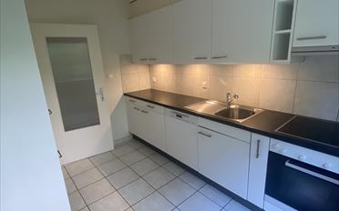 Wohnung 5.5 Zimmer - image - 3