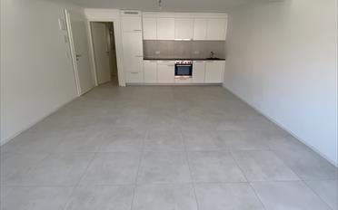 Wohnung ein Zimmer - image - 2