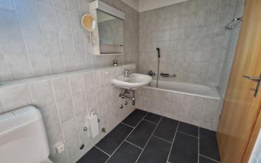Attic flat 5.5 rooms - image - 9