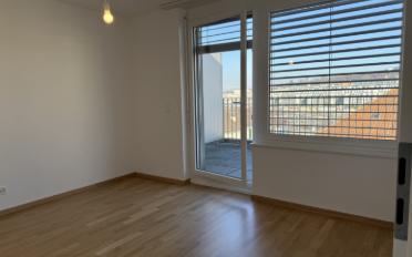 Attikawohnung 4.5 Zimmer - image - 16