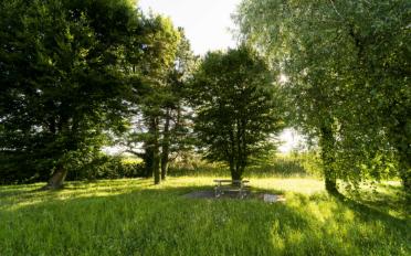Immeuble mixte - image - 5