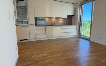 Apartment 2.5 rooms - image - 6