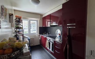 Appartement 2.5 pièces - image - 2