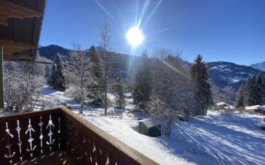Chalet 7 rooms - image - 6