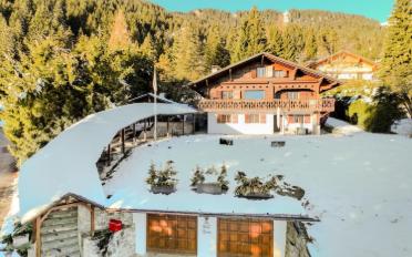 Chalet 8 pièces - image - 1