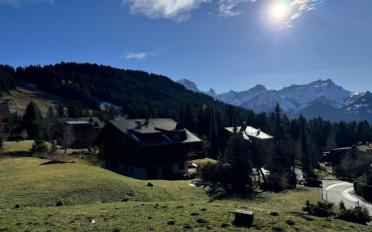 Chalet 8 pièces - image - 12