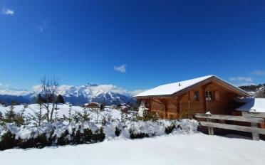 Chalet 6.5 rooms - image - 7