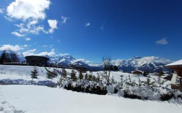 Chalet 6.5 rooms - image - 6