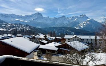 Chalet 11.5 pièces - image - 3