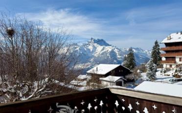 Chalet 11.5 pièces - image - 2