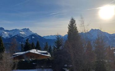 Chalet 4 Zimmer - image - 13