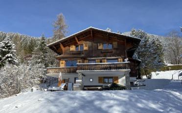 Chalet 4 Zimmer - image - 12