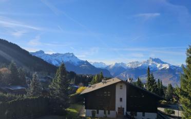 Chalet 4 rooms - image - 11