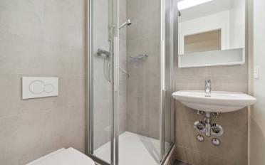 Attic flat 5 rooms - image - 8
