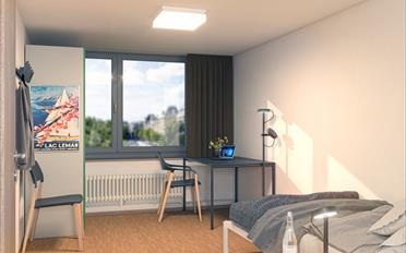 Appartement meublé 1 pièce - image - 2