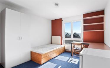 Apartment 1 room - image - 2