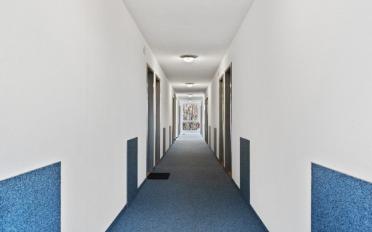 Wohnung ein Zimmer - image - 6