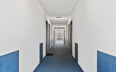 Wohnung ein Zimmer - image - 6