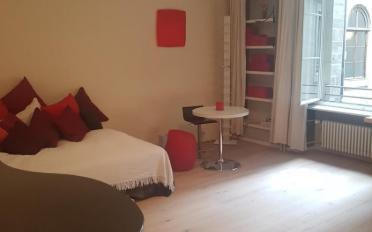 Wohnung ein Zimmer - image - 3