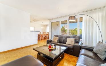 Wohnung 4.5 Zimmer - image - 3