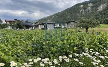 Villa 4.5 Zimmer - image - 5