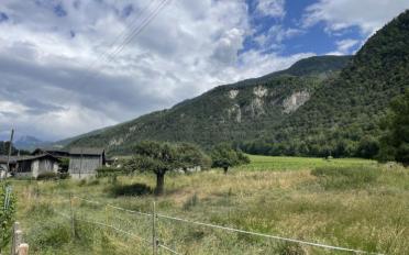 Appartement 3.5 pièces - image - 5